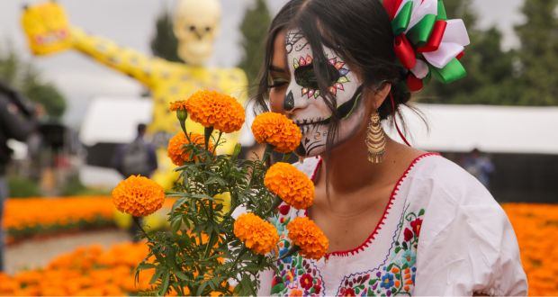 La Ruta de las Mil Flores en Atlixco: Un Tesoro de Cempasúchiles para el Día de Muertos